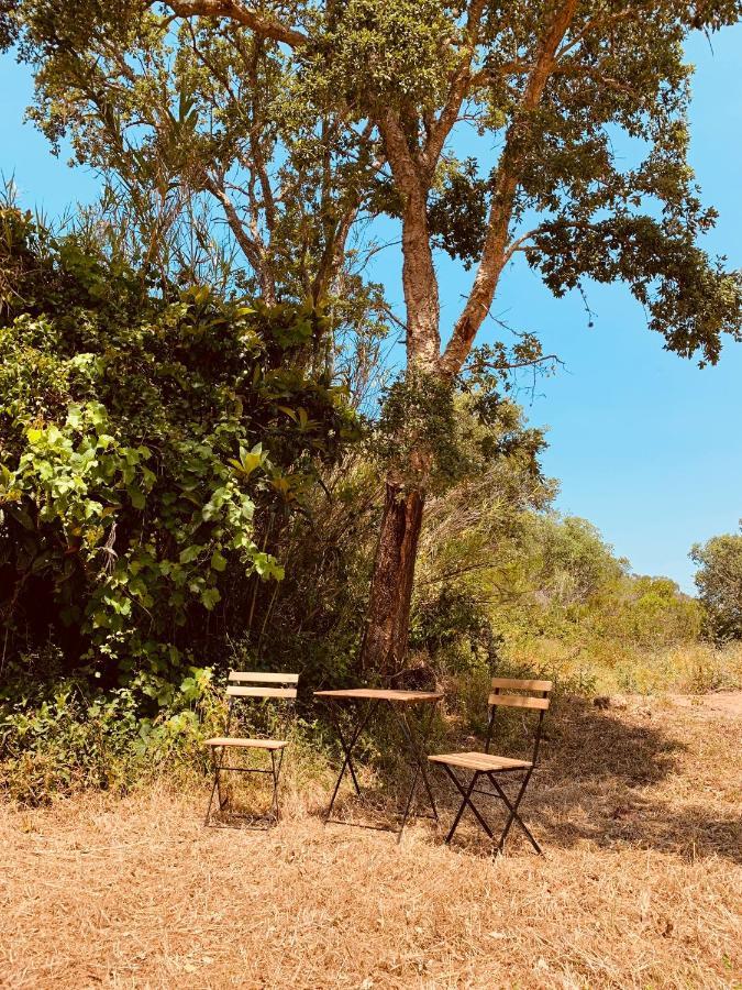 Private Eco Glamping In Aljezur Alfambras酒店 外观 照片